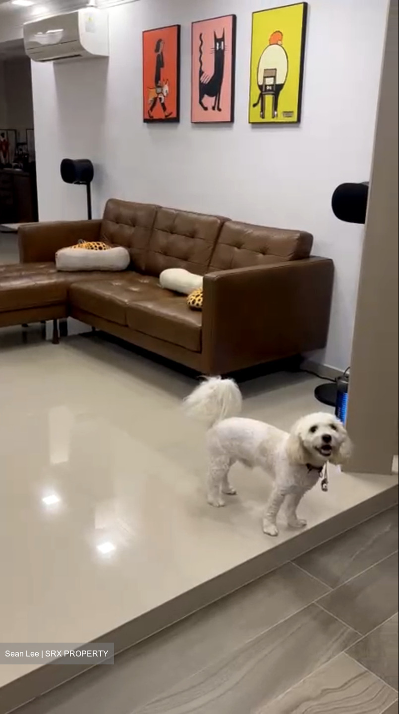 Blk 210 Tampines Street 23 (Tampines), HDB 5 Rooms #535228061